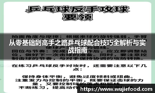 从零基础到高手之路乒乓球配合技巧全解析与实战指南