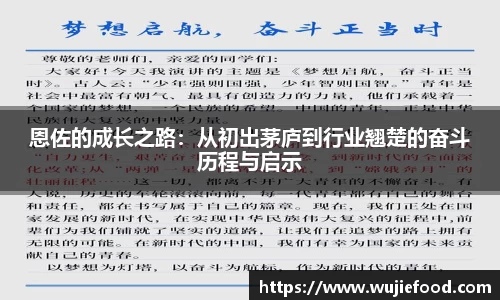 恩佐的成长之路：从初出茅庐到行业翘楚的奋斗历程与启示