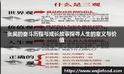 张昊的奋斗历程与成长故事探寻人生的意义与价值